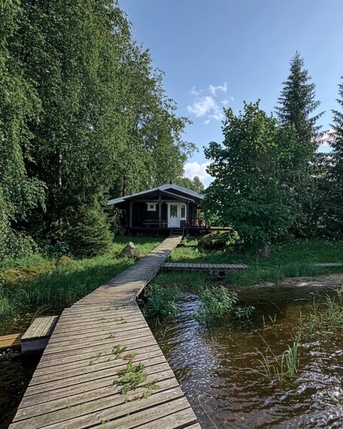 Большая баня у леса